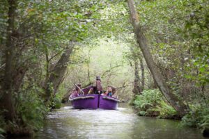 Bewilderwood -Wroxham