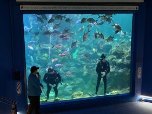 Blue Planet Aquarium