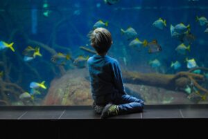 Blue Reef Aquarium - Hampshire