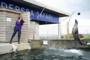 Blue Reef Aquarium - Tynemouth