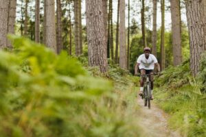 Cannock Chase Forest