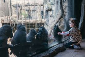 Chester Zoo