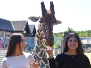 Colchester Zoo