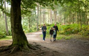 Delamere Forest