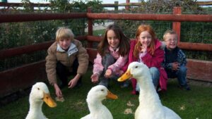 Farmer Parrs Animal World - Fleetwood