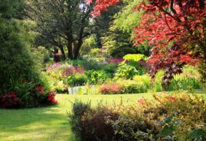 Fletcher Moss Botanical Gardens