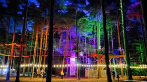 Go Ape - Black Park (Buckinghamshire)