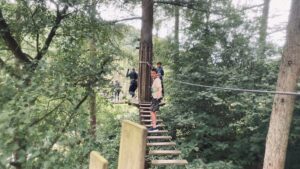 Go Ape - Dalby Forest
