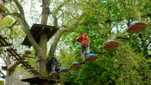 Go Ape - Staffordshire