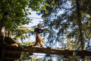 Go Ape - Wyre Forest