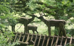 Grizedale Forest