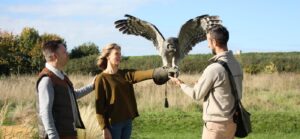 Hawk Conservancy - Hampshire