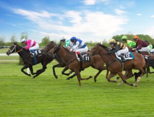 Hereford Racecourse