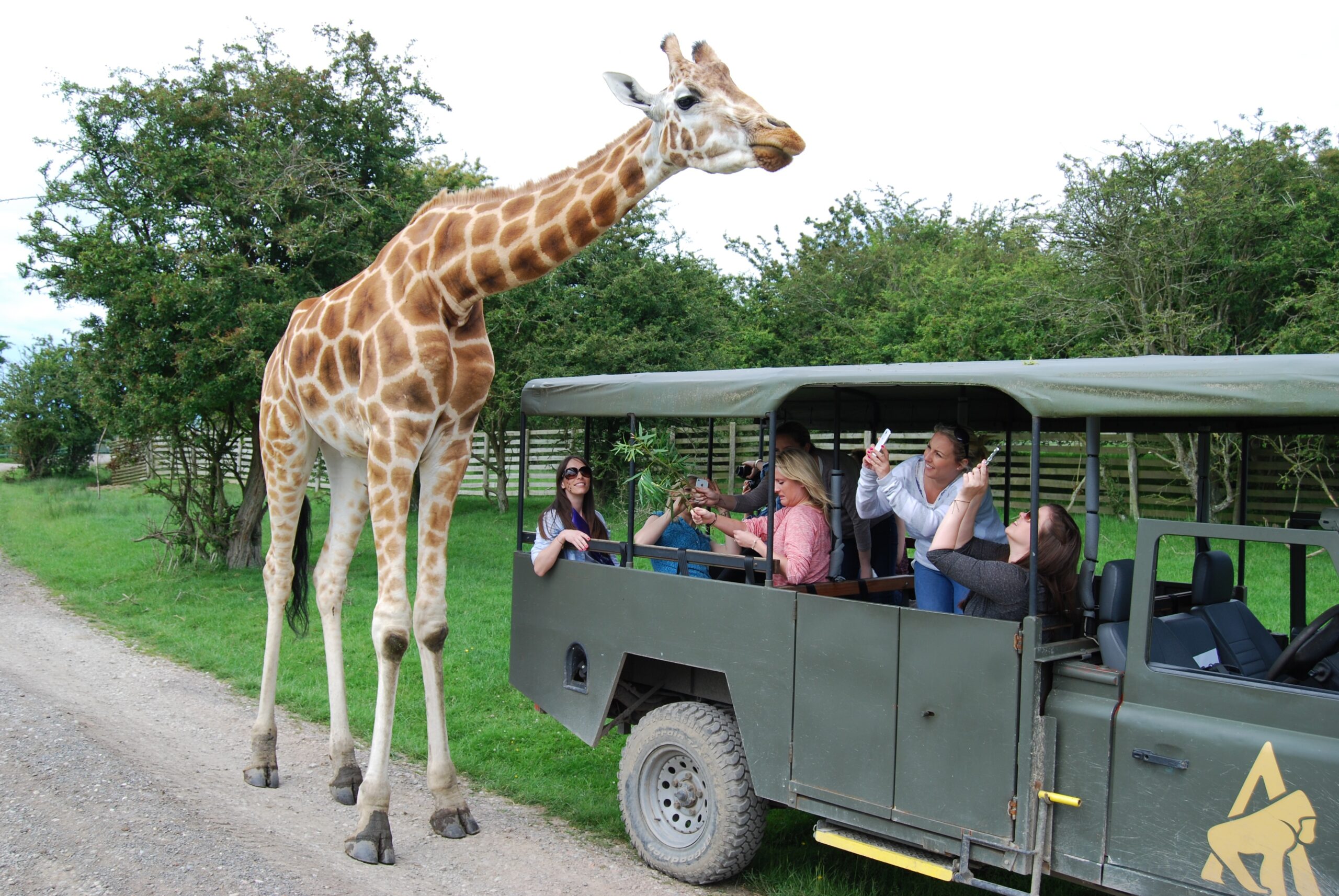 Wildlife parks in Kent