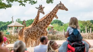 Marwell Zoo