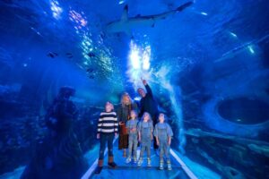 National Sealife Centre - Birmingham