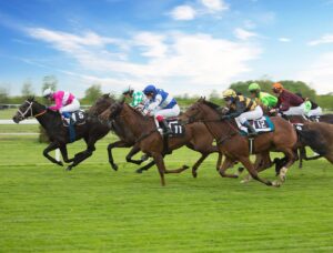 Newmarket Racecourse