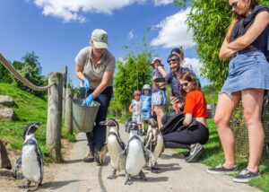 Peak Wildlife Park