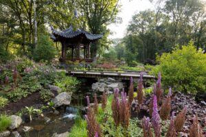 RHS Garden Bridgewater