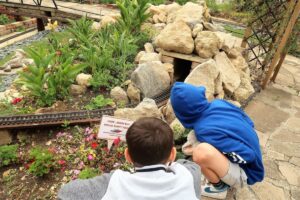 Railworld Wildlife Haven - Peterborough