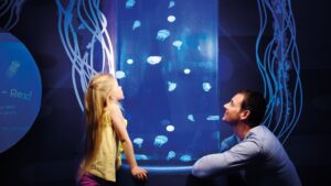 Sealife Centre - Great Yarmouth