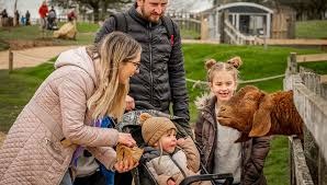 Shortwood Family Farm