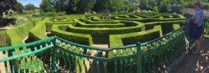 The Amazing Hedge Puzzle - Herefordshire