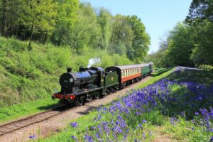 The Bluebell line - East Sussex