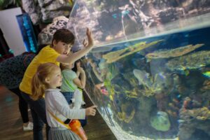 The Deep Sealife Centre - Hull
