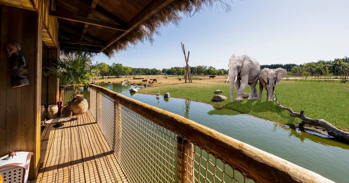 West Midlands Safari Park Worcestershire