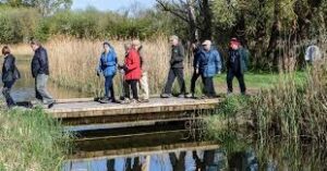 Wicken Fen National Nature Reserve