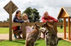 Yorkshire Wildlife Centre