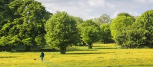 Walking, Cycling and Riding in Essex