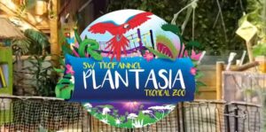 Plantasia Tropical Zoo - Swansea