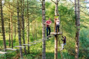 Go Ape - Swinley Forest