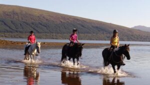 Argyll Adventure