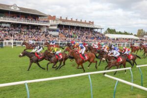 Ayr Racecourse