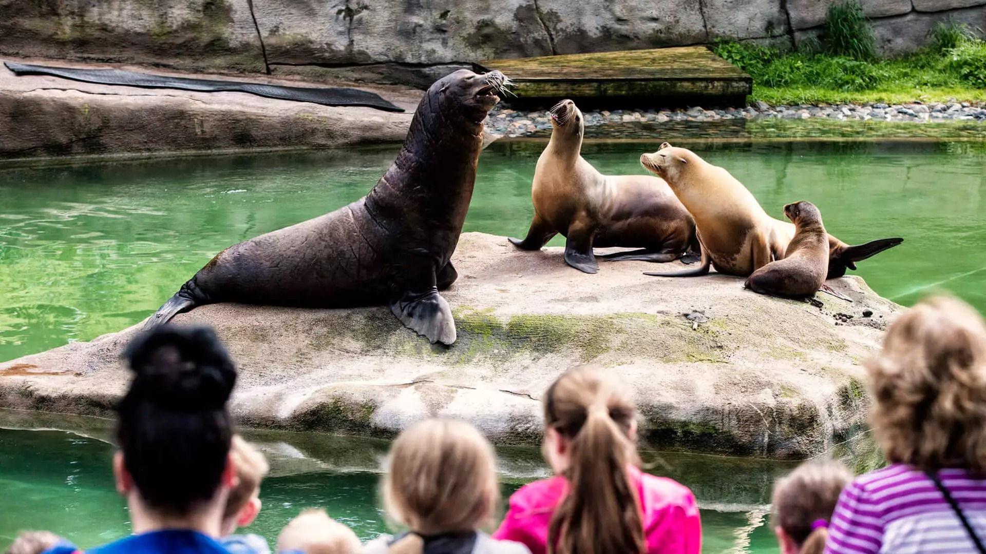 Belfast Zoo Northern Ireland