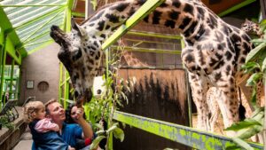 Belfast Zoo