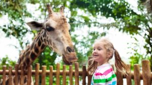 Blair Drummond Safari Park