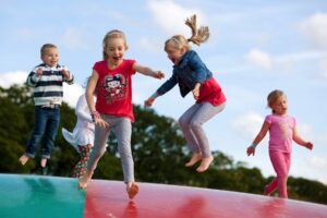 Briarlands Farm Park