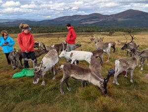 Cairngorm Reindeer Centre