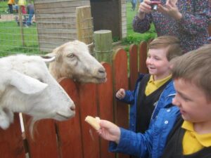 Clementsmount Fun Farm – Crumlin