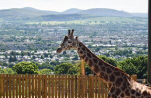 Edinburgh Zoo
