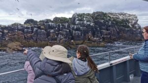 Farne Islands
