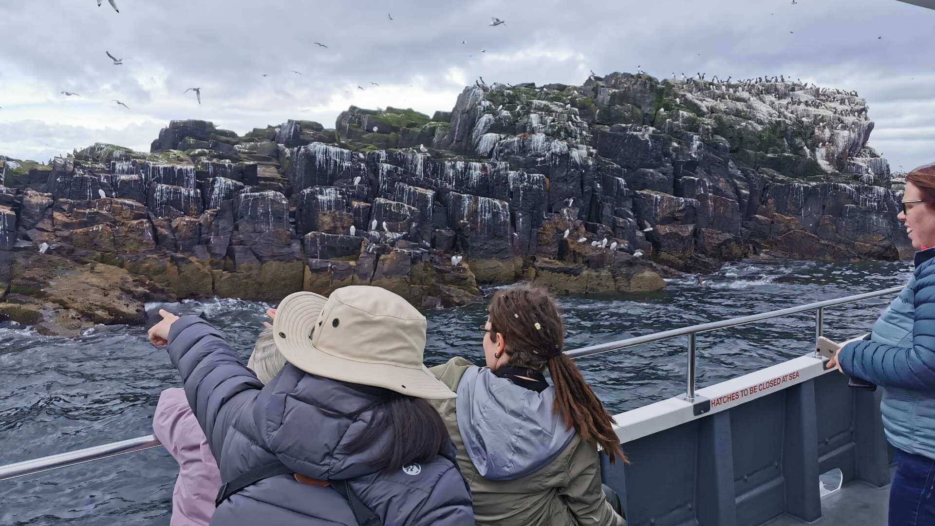 The Farne Islands and Northumberland coast