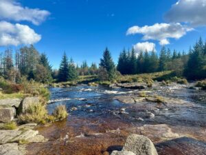 Galloway Forest Park