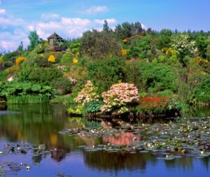 Glenwhan Gardens