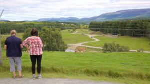 Highland Wildlife Park - Kingussie