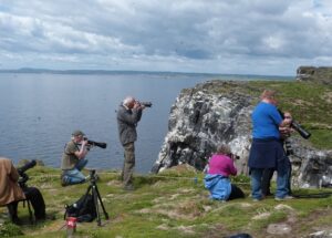 Isle of May